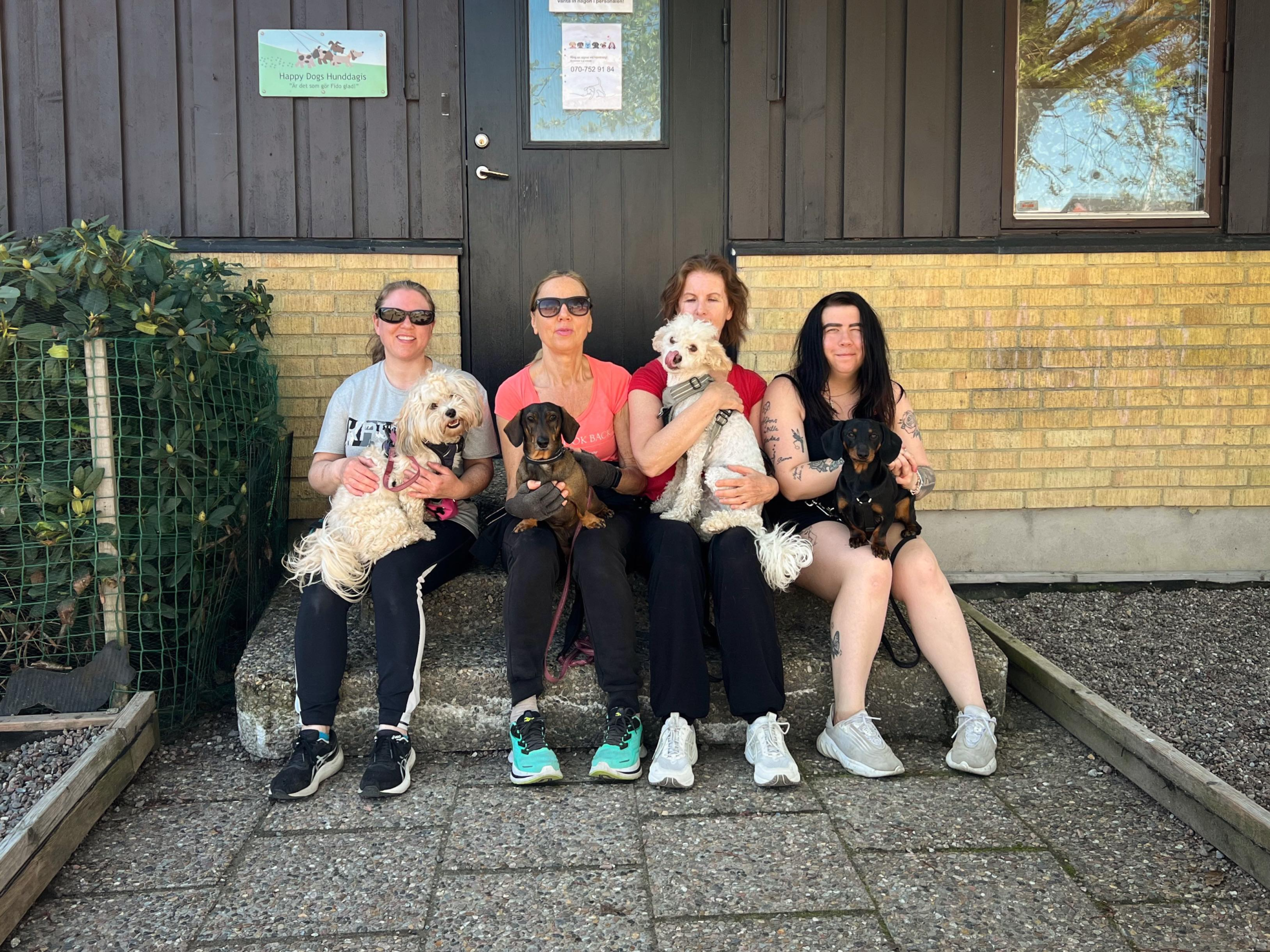 Vickans HappyDogs Hunddagis